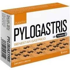 Plantis Pylogastris 90caps