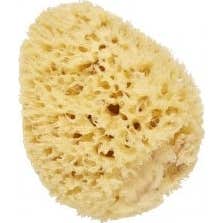 Cartel Eponge Mer Naturel 8Cm