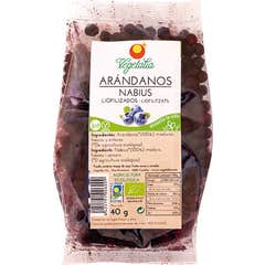 Vegetalia Arandano Nego lyophilisé biologique 40g