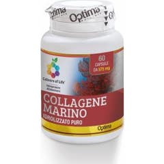 Colours of Life Hydrolyzed Marine Collagene 57mg 60caps