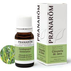 Pranarôm Huile Essentielle Citronnelle de Java 10ml