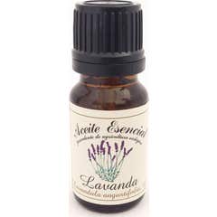 Labiatae Huile Essentielle Lavande 12ml