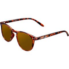 Northweek Wall Tortoise Polarized 1ud