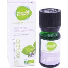 Pharmascience Huile Essentielle Menthe Des Champs Bio 10ml