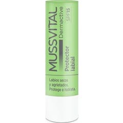 Bâton musculaire labial naturel SPF15+ 1ud