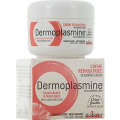 Boiron Dermoplasmine Crème Réparatrice 20 gr
