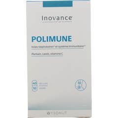 Inovance Polimune 40 Gélules