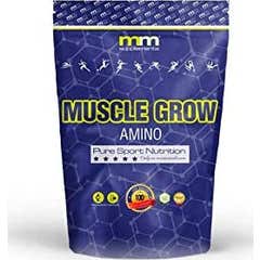 Mm Suppléments Musclegow Amino Fruit Punch 500g
