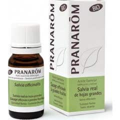 Pranarôm Huile Essentielle Sauge Officinale Grandes Feuilles Bio 10ml