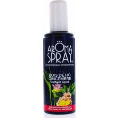 Aromaspray Air Freshener Jengibre y Palo de Ho 100 ml