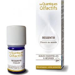 Les Quantiques Olfactifs Aceite Esencial Feel 5ml