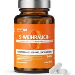 SPLMNT S-Weihrauch+ 60 Capsules