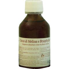 Casa di Salute Mélisse Bryophyllum 100ml