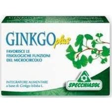 Ginkgo Plus 30Cps
