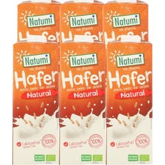 Gruau de lait Natumi Bio 6x1L
