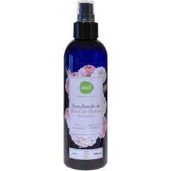 Pharmascience Eau Florale De Rose De Damas Bio 200ml
