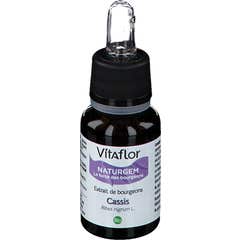 Vitaflor Extrait de Bourgeons Bio Cassis 15 ml