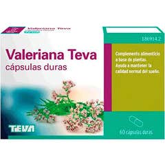 Valériane Teva 60 Capsules dures Valériane Teva 60 Capsules dures