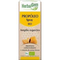 Propolis à large spectre