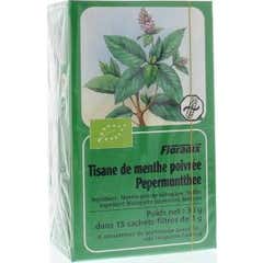 Salus Peppermint Tea 15uts