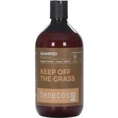 Benecos Bio Shampoing Cheveux Normaux au Chanvre 500ml