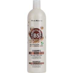 Thader Pharma Provitamines B5 Shampooing Cheveux Colorés Mèches 1 L