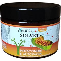 Sygnum Solvet Mitochondries Autophagie Poudre 400g