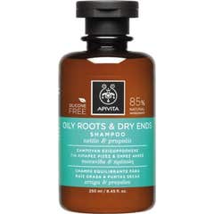 Shampooing capillaire Apivita Racines grasses et pointes sèches 250 ml