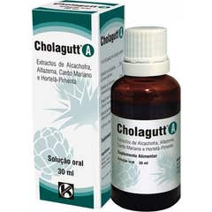 Cholagutt A Solution Orale 30ml
