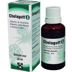 Cholagutt A Solution Orale 30ml