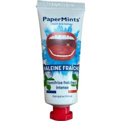 PaperMints Dentifrice Haleine Fraîche Fraîcheur Intense 25 ml