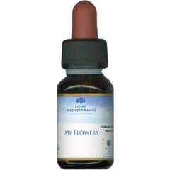 Mes Fleurs Fleurs Méditer Gouttes