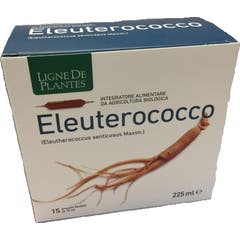 Ligne de Plantes Eleuthérocoque Bio 15x15ml