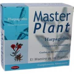 Master Plant Harpagophytum 10 x 10 ml