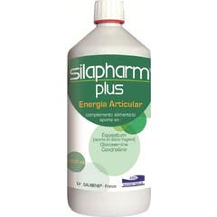 Silapharm Plus Articulaire 1000ml