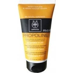 Apivita Après-shampooing Cheveux Secs/Abîmés 150 ml