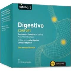 Vitalart Digestive 20 Stick