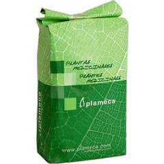Plameca Menthe poivrée 1000g