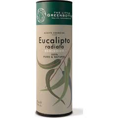 The Little Green Bottle Huile Essentielle Eucalyptus Radiata 15 ml