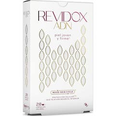 Revidox ADN 28 gélules