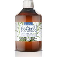Eau camphrée au romarin Terpenic Hydrolate de camphre Bio 500ml