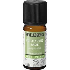 Revelessence Huile Essentielle Eucalyp Rad 10ml