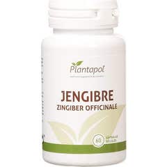 PlantaPol Gingembre 600mg 60caps