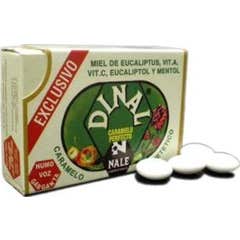 Nale Caramel Dinal 30 Unités