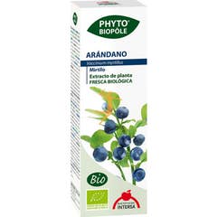 Intersa Phyto Bipôle Mirtilo Bio 50ml