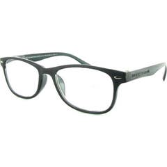 ProtecFarma Salamandra Lunettes Grey +2.50 1ut