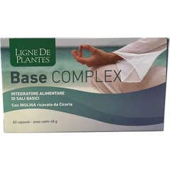 Ligne de Plantes Base Complex 60comp