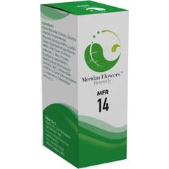 Meridian Flowers Remedy 14 30ml