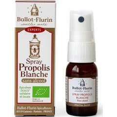 Ballot Flur Spr Propo S/Alc 15Ml