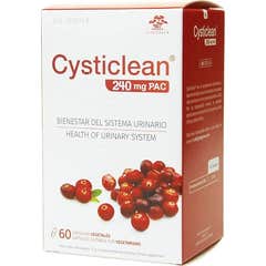 Sync by n17t01 Cysticlean™